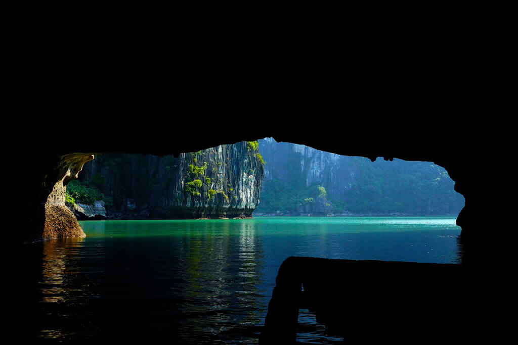 Image by woong hoe from Pixabay